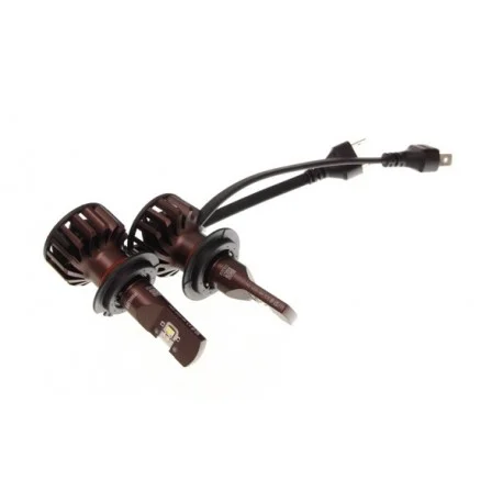 motone-15145472