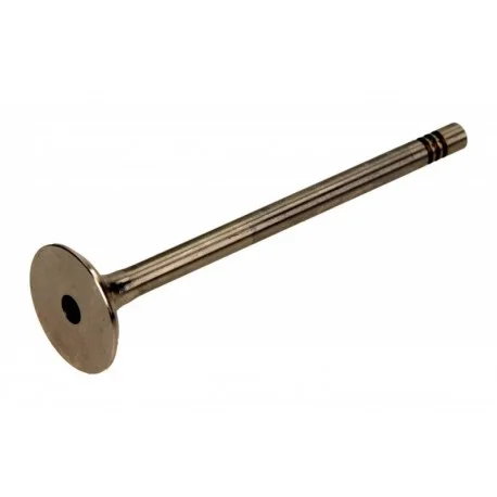 motone-15315858