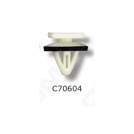 motone-15485489