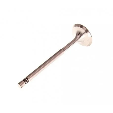 motone-15523509