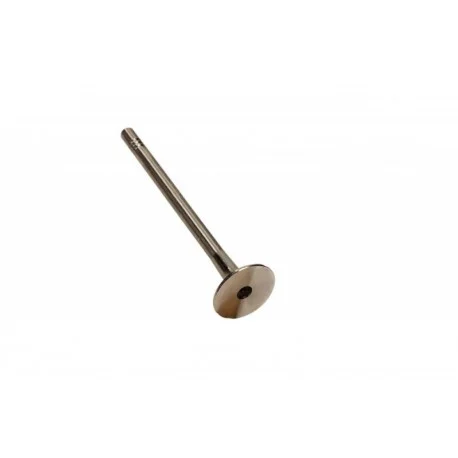 motone-15555030