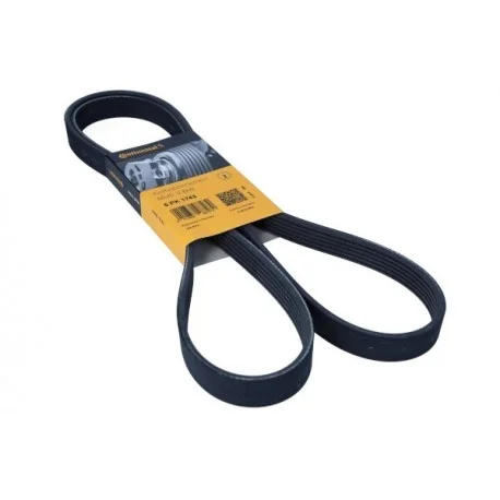 motone-15574950