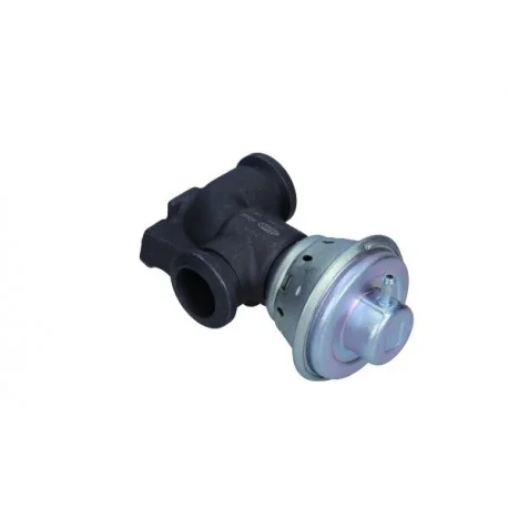 motone-15639563
