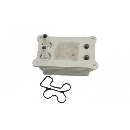 motone-15720600