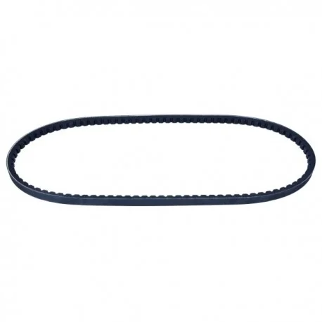 motone-15752931
