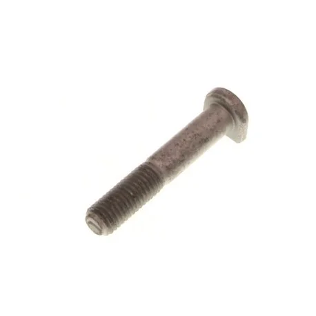 motone-15773124
