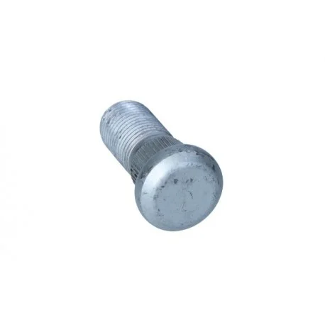 motone-15774265