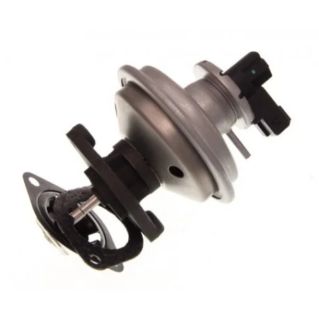 motone-15781858