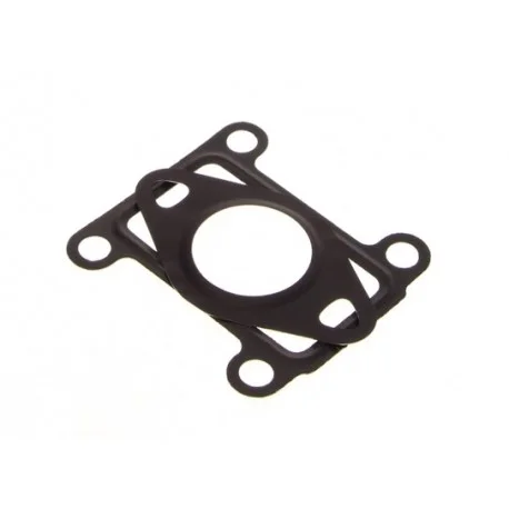 motone-15800780