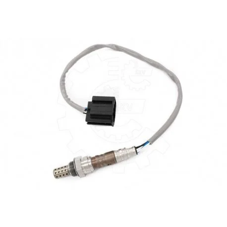 motone-15890978