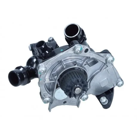 motone-25025475