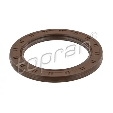 motone-25039652