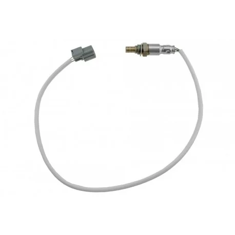 motone-25311666