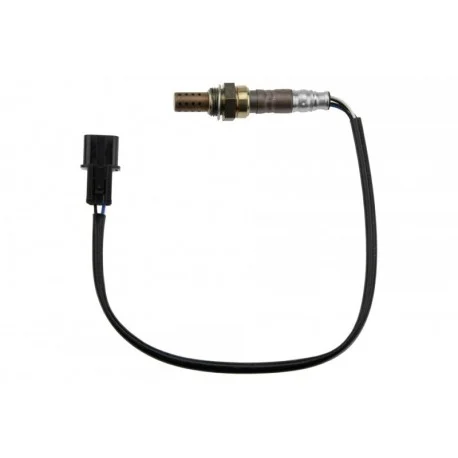 motone-25311858