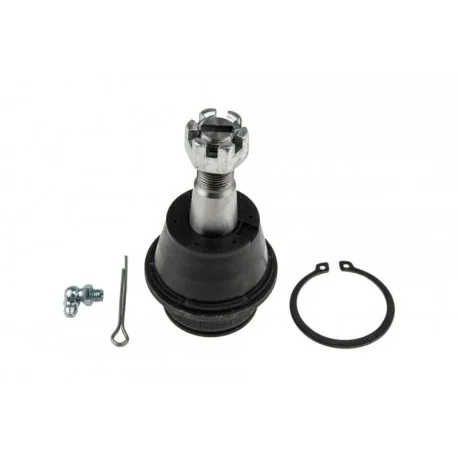 motone-25404781