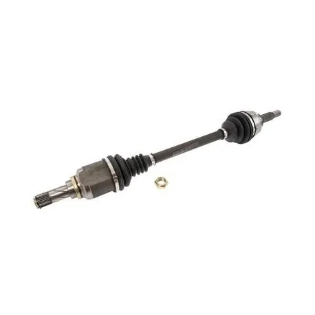 motone-25484636