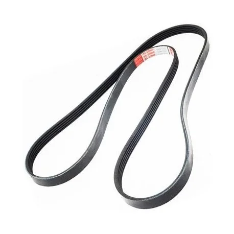 motone-25515845