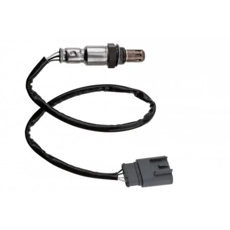 motone-25549731