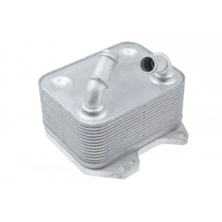 motone-25752400