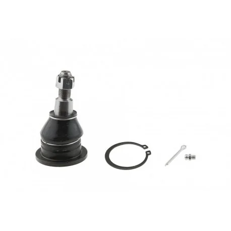 motone-25766616