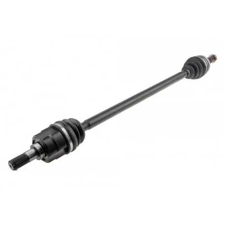 motone-25775221