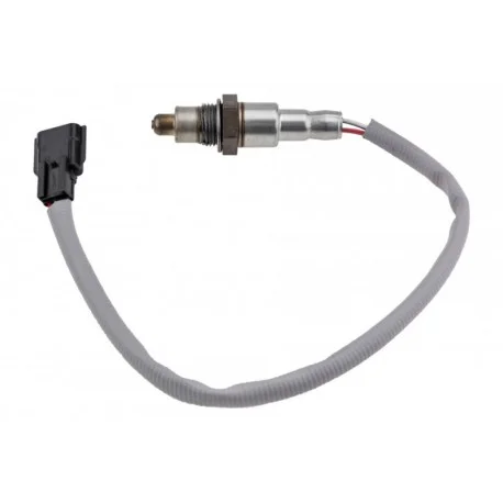 motone-25796574