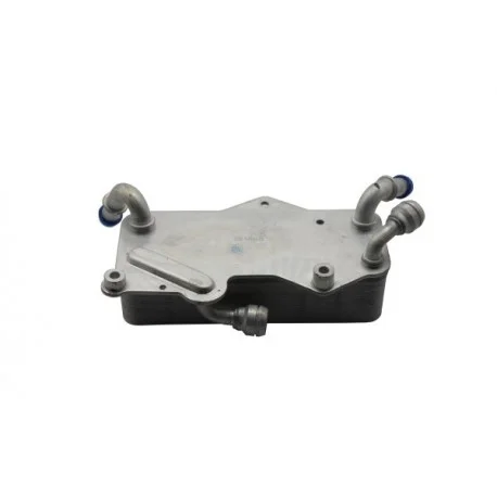 motone-35079066
