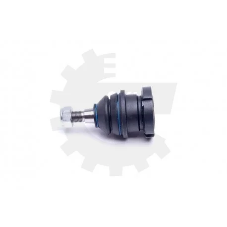 motone-35243446