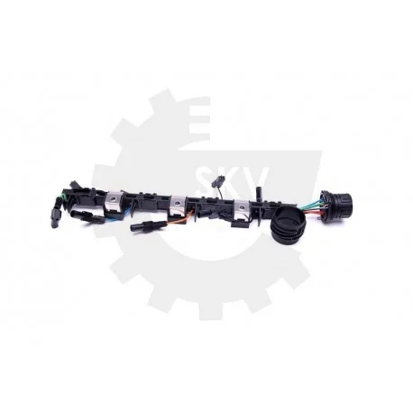 motone-35257827