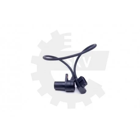 motone-35258882