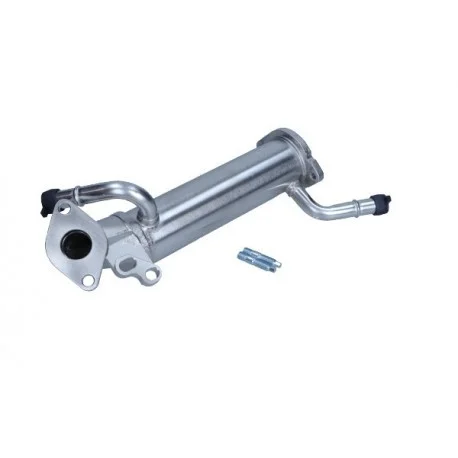 motone-35336306