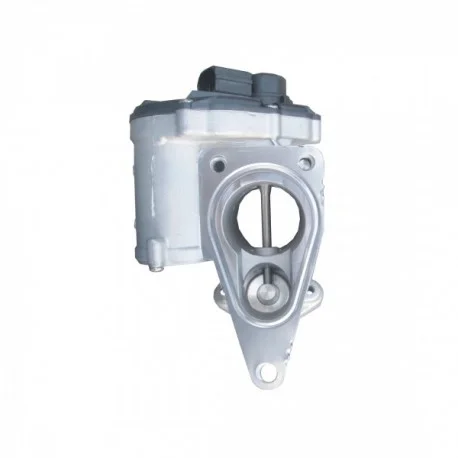 motone-35375711
