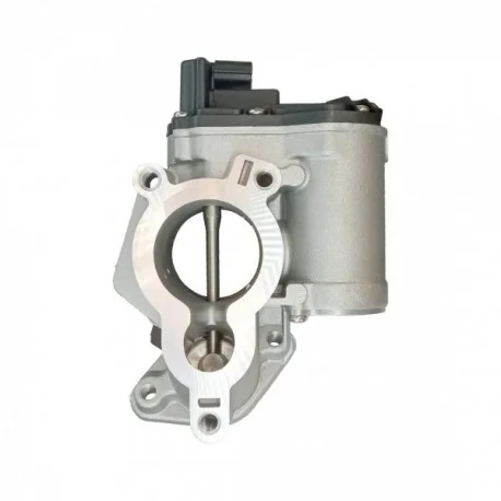 motone-35376073