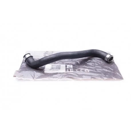 motone-35420585