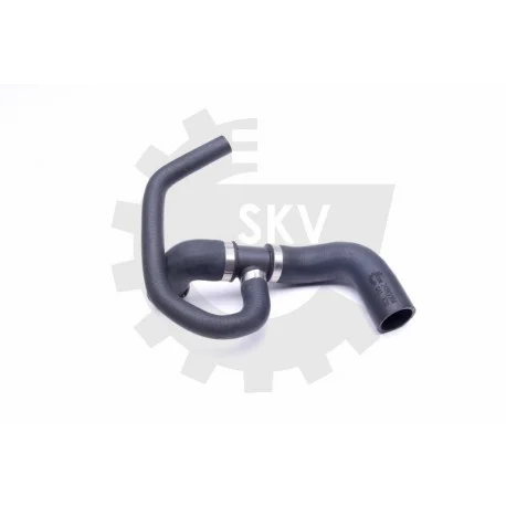 motone-35436844