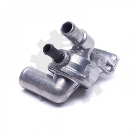 motone-35455404