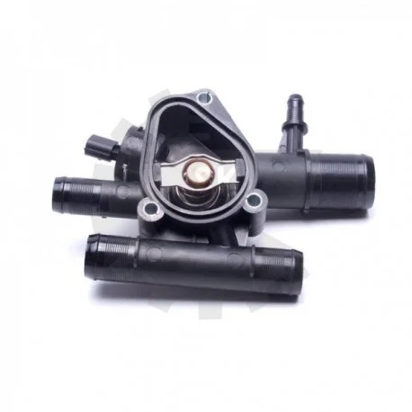 motone-35455419
