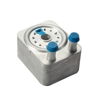 motone-35583816