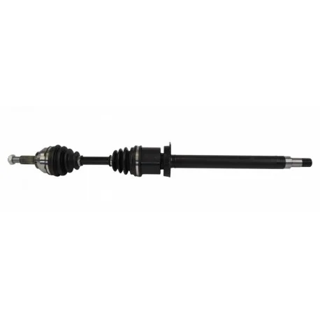 motone-35621721