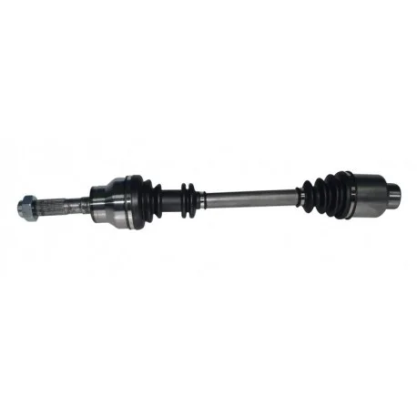 motone-35625198