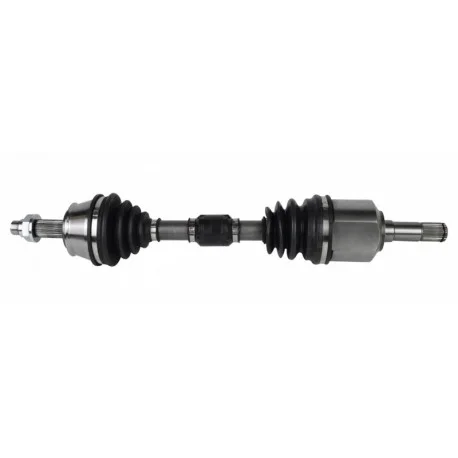 motone-35631685