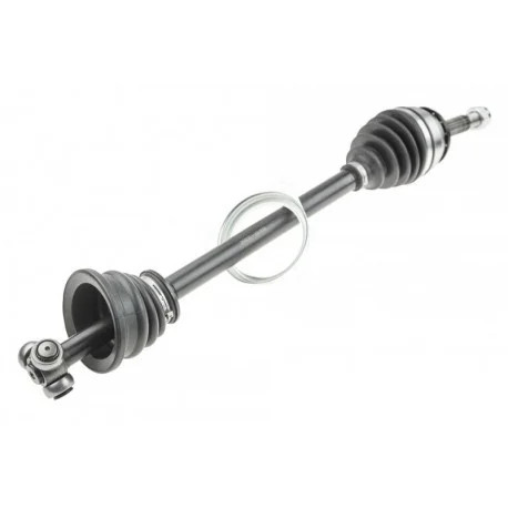 motone-35646254