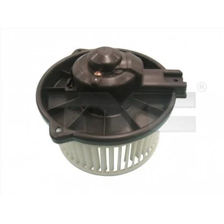 motone-35684294