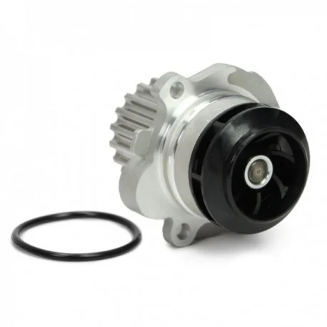 motone-35731629