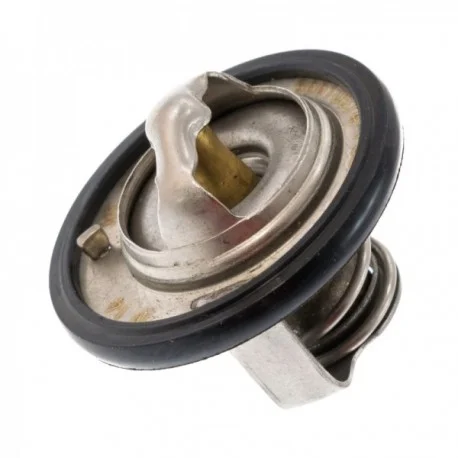 motone-35735106