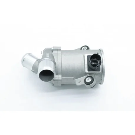motone-35748565