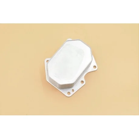 motone-35749812