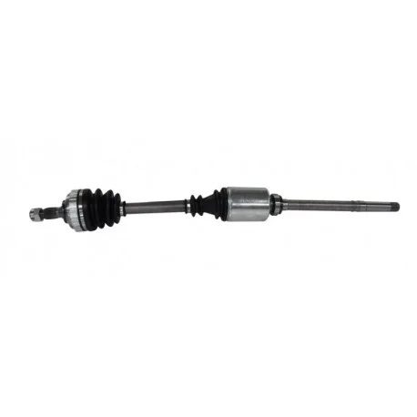 motone-35761831
