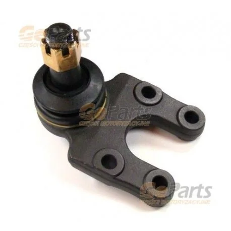 motone-35945762