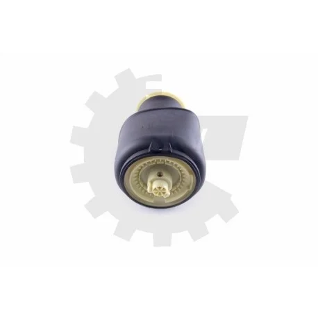 motone-36036245